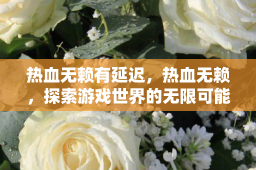 热血无赖有延迟，热血无赖，探索游戏世界的无限可能