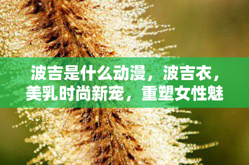 波吉是什么动漫,波吉衣,美乳时尚新宠,重塑女性魅力 波吉是什么动漫,波吉衣,美乳时尚新宠,重塑女性魅力