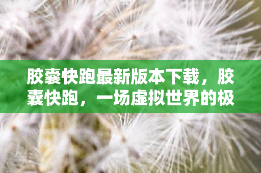 胶囊快跑最新版本下载,胶囊快跑,一场虚拟世界的极速冒险 胶囊快跑最新版本下载,胶囊快跑,一场虚拟世界的极速冒险