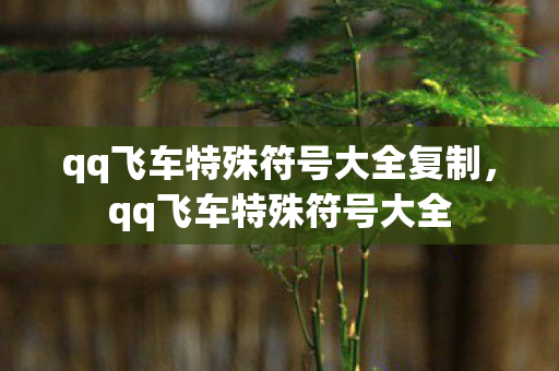 qq飞车特殊符号大全复制，qq飞车特殊符号大全