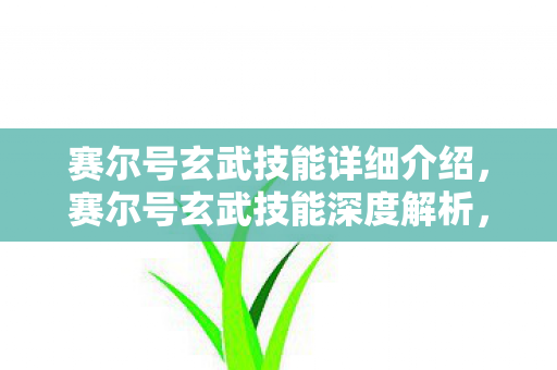 赛尔号玄武技能详细介绍，赛尔号玄武技能深度解析，坚如磐石，策略致胜