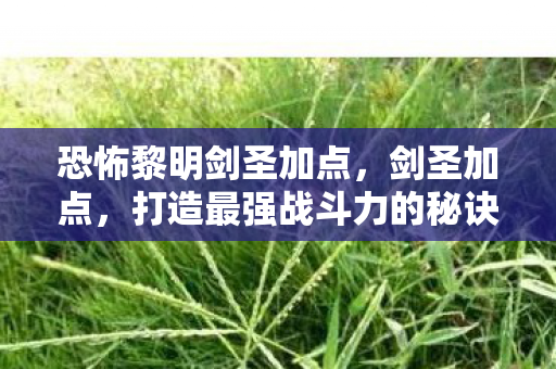 恐怖黎明剑圣加点，剑圣加点，打造最强战斗力的秘诀
