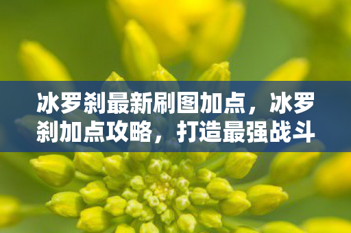 冰罗刹最新刷图加点，冰罗刹加点攻略，打造最强战斗力的关键