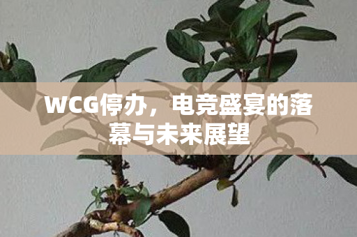 WCG停办，电竞盛宴的落幕与未来展望