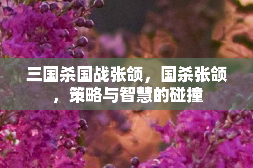 三国杀国战张颌，国杀张颌，策略与智慧的碰撞