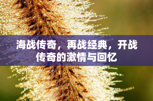 海战传奇，再战经典，开战传奇的激情与回忆