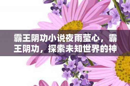 霸王阴功小说夜雨莹心，霸王阴功，探索未知世界的神秘力量