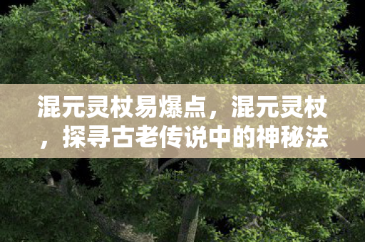混元灵杖易爆点,混元灵杖,探寻古老传说中的神秘法器 混元灵杖易爆点,混元灵杖,探寻古老传说中的神秘法器