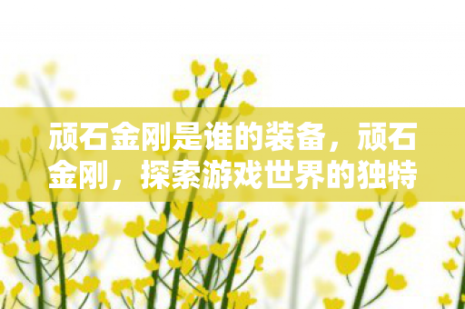 顽石金刚是谁的装备，顽石金刚，探索游戏世界的独特魅力