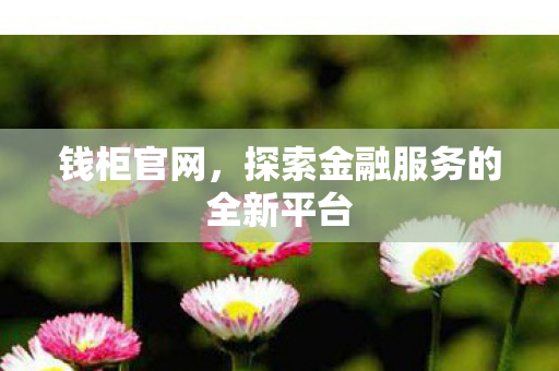 钱柜官网，探索金融服务的全新平台
