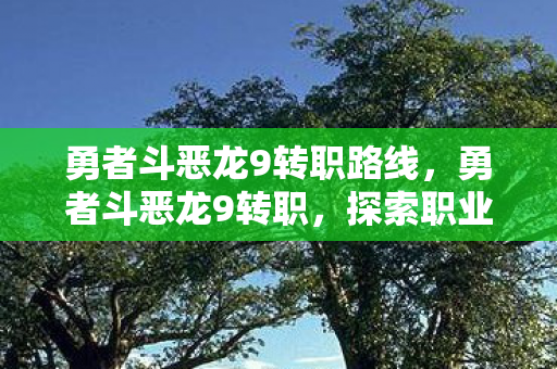 勇者斗恶龙9转职路线，勇者斗恶龙9转职，探索职业转换的无限可能