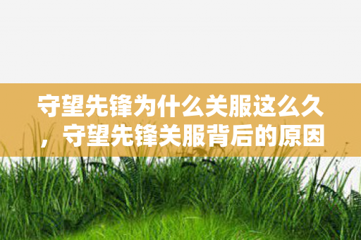 守望先锋为什么关服这么久，守望先锋关服背后的原因