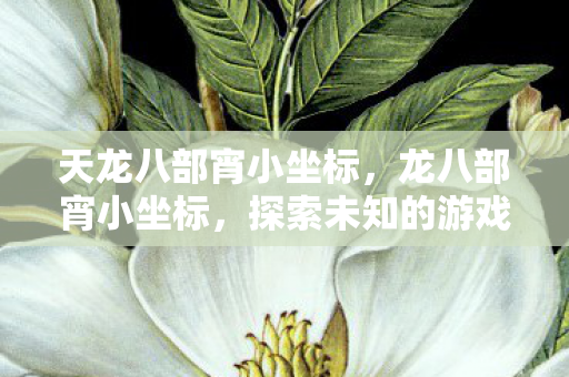 天龙八部宵小坐标，龙八部宵小坐标，探索未知的游戏世界