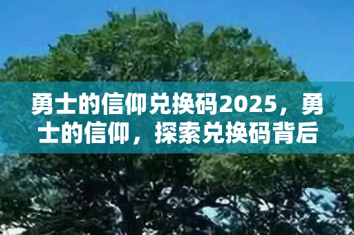 勇士的信仰兑换码2025，勇士的信仰，探索兑换码背后的奇妙之旅