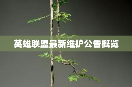 英雄联盟最新维护公告概览