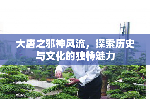 大唐之邪神风流，探索历史与文化的独特魅力