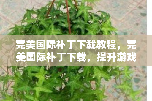 完美国际补丁下载教程，完美国际补丁下载，提升游戏体验的必备工具