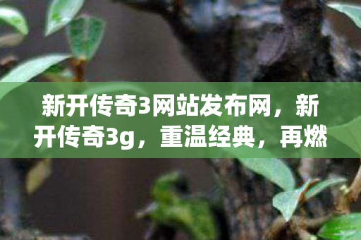 新开传奇3网站发布网，新开传奇3g，重温经典，再燃激情