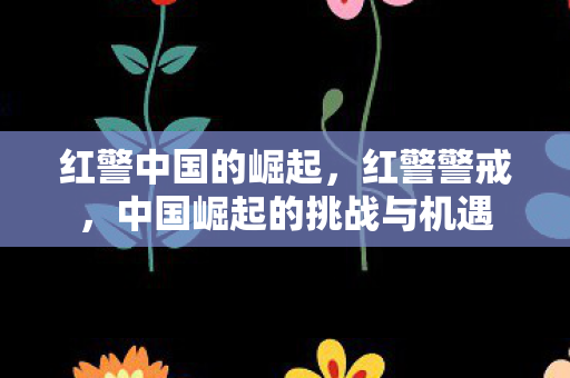 红警中国的崛起，红警警戒，中国崛起的挑战与机遇
