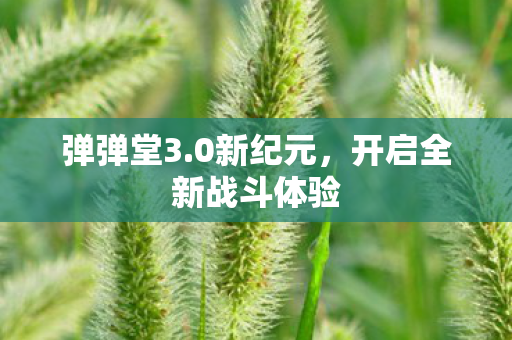 弹弹堂3.0新纪元，开启全新战斗体验