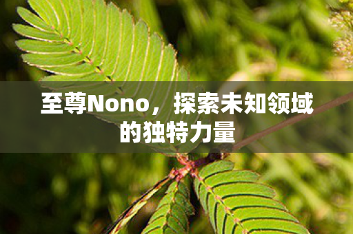 至尊Nono，探索未知领域的独特力量