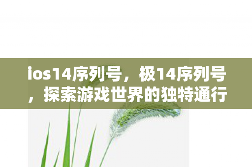 ios14序列号，极14序列号，探索游戏世界的独特通行证