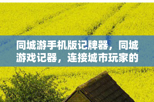 同城游手机版记牌器,同城游戏记器,连接城市玩家的欢乐纽带 同城游手机版记牌器,同城游戏记器,连接城市玩家的欢乐纽带