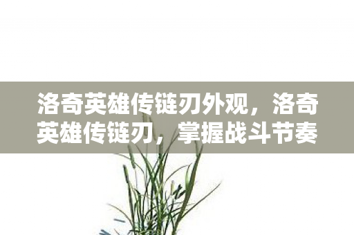 洛奇英雄传链刃外观，洛奇英雄传链刃，掌握战斗节奏的致命武器