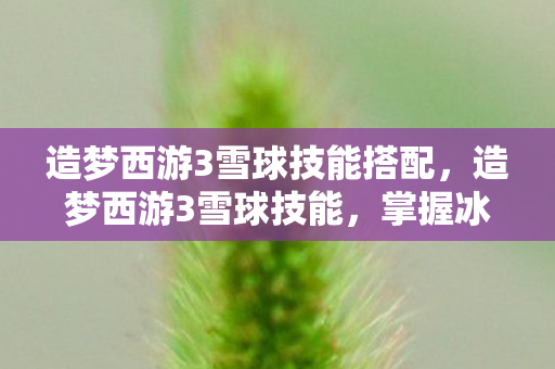 造梦西游3雪球技能搭配,造梦西游3雪球技能,掌握冰雪之力,驰骋西游世界 造梦西游3雪球技能搭配,造梦西游3雪球技能,掌握冰雪之力,驰骋西游世界