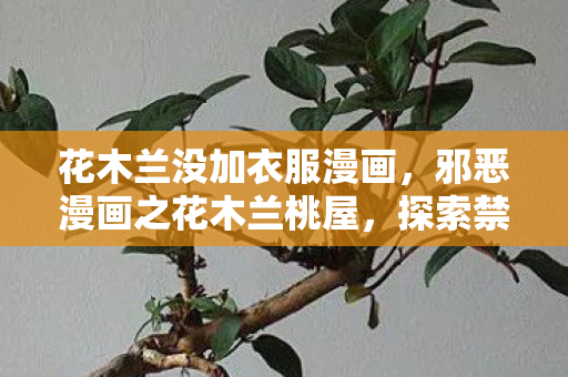 花木兰没加衣服漫画，邪恶漫画之花木兰桃屋，探索禁忌之美的深渊