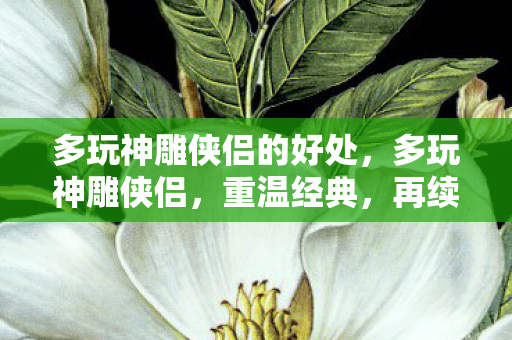 多玩神雕侠侣的好处，多玩神雕侠侣，重温经典，再续江湖情缘