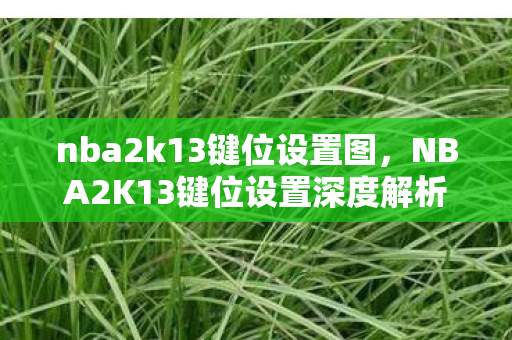nba2k13键位设置图，NBA2K13键位设置深度解析