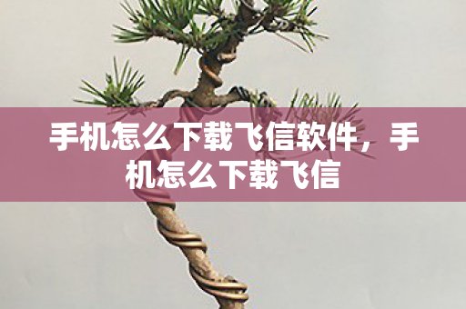 手机怎么下载飞信软件，手机怎么下载飞信