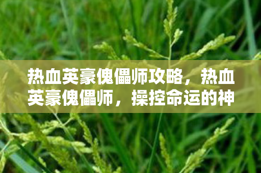 热血英豪傀儡师攻略，热血英豪傀儡师，操控命运的神秘艺术家