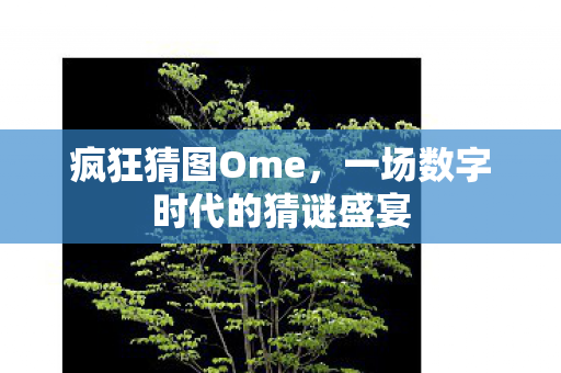 疯狂猜图Ome，一场数字时代的猜谜盛宴