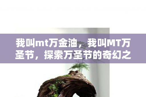 我叫mt万金油，我叫MT万圣节，探索万圣节的奇幻之旅