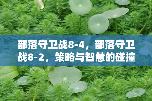 部落守卫战8-4,部落守卫战8-2,策略与智慧的碰撞 部落守卫战8-4,部落守卫战8-2,策略与智慧的碰撞