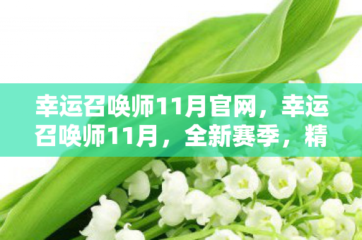 幸运召唤师11月官网,幸运召唤师11月,全新赛季,精彩不断! 幸运召唤师11月官网,幸运召唤师11月,全新赛季,精彩不断!