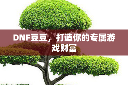 DNF豆豆，打造你的专属游戏财富