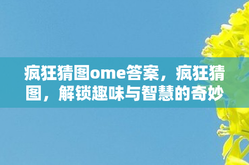 疯狂猜图ome答案,疯狂猜图,解锁趣味与智慧的奇妙之旅 疯狂猜图ome答案,疯狂猜图,解锁趣味与智慧的奇妙之旅