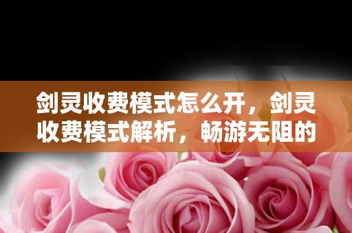 剑灵收费模式怎么开，剑灵收费模式解析，畅游无阻的付费体验