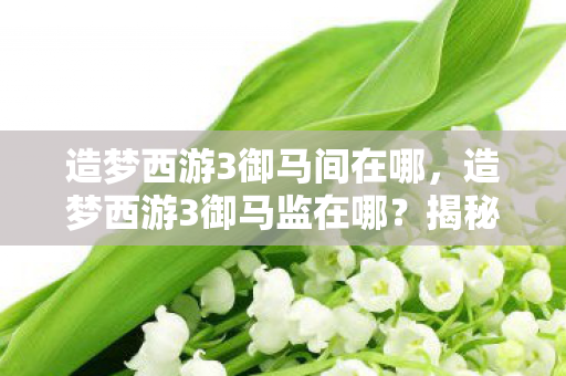 造梦西游3御马间在哪，造梦西游3御马监在哪？揭秘隐藏关卡与神秘地点