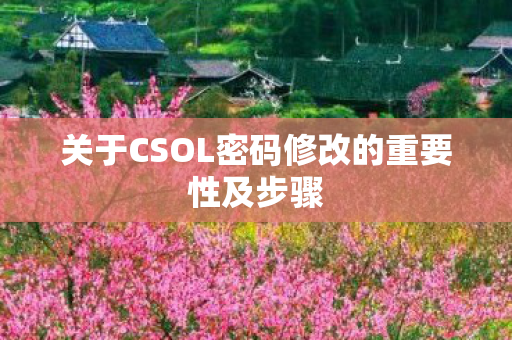 关于CSOL密码修改的重要性及步骤