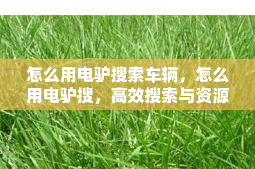 怎么用电驴搜索车辆，怎么用电驴搜，高效搜索与资源获取指南