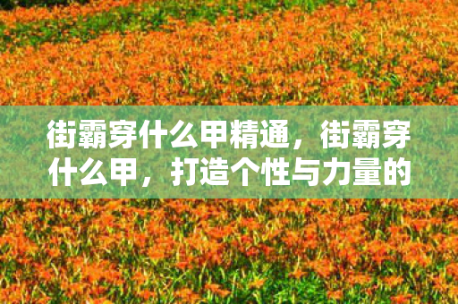 街霸穿什么甲精通，街霸穿什么甲，打造个性与力量的完美平衡