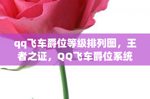 qq飞车爵位等级排列图，王者之证，QQ飞车爵位系统深度解析