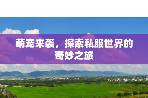 萌宠来袭，探索私服世界的奇妙之旅
