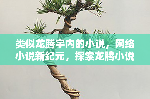 类似龙腾宇内的小说,网络小说新纪元,探索龙腾小说网的无限可能 类似龙腾宇内的小说,网络小说新纪元,探索龙腾小说网的无限可能
