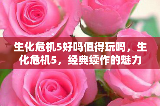 生化危机5好吗值得玩吗,生化危机5,经典续作的魅力与挑战 生化危机5好吗值得玩吗,生化危机5,经典续作的魅力与挑战
