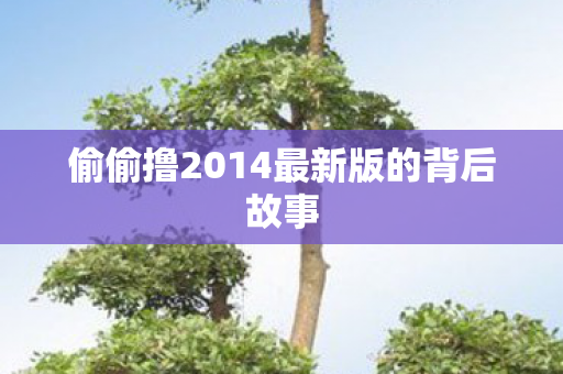 偷偷撸2014最新版的背后故事